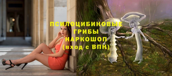 apvp Липки