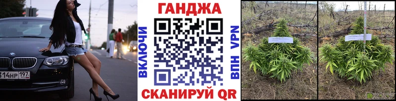 Купить закладки  Болгар  Каннабис AK-47 